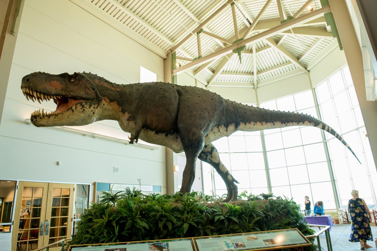 Large dinosaur skeleton exhibit inside a museum atrium with visitors and display plants