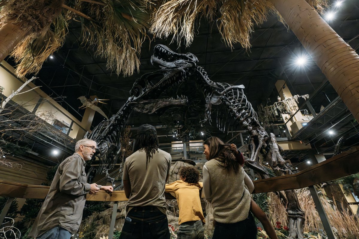 Visitors stand in an indoor natural history exhibit surrounded by taxidermy animals and antlers, with a large ceiling display of a moose and other wildlife.