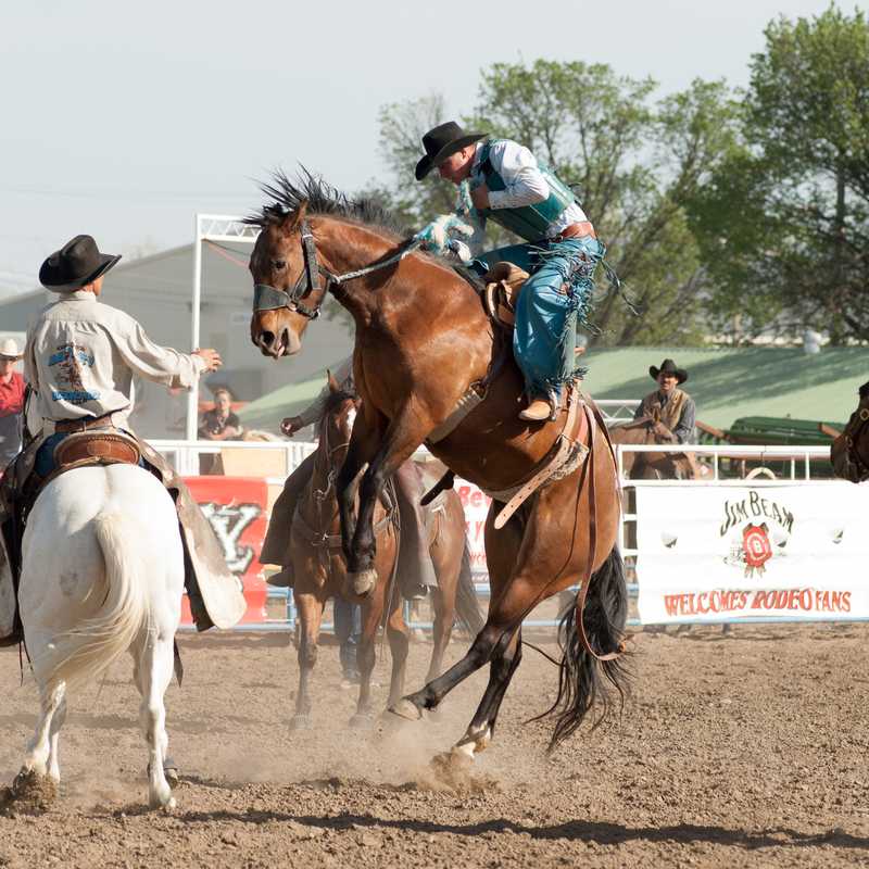 Horse race at a rodeo arena, with a rider on horseback in the center surrounded by other riders and horses near the track fence