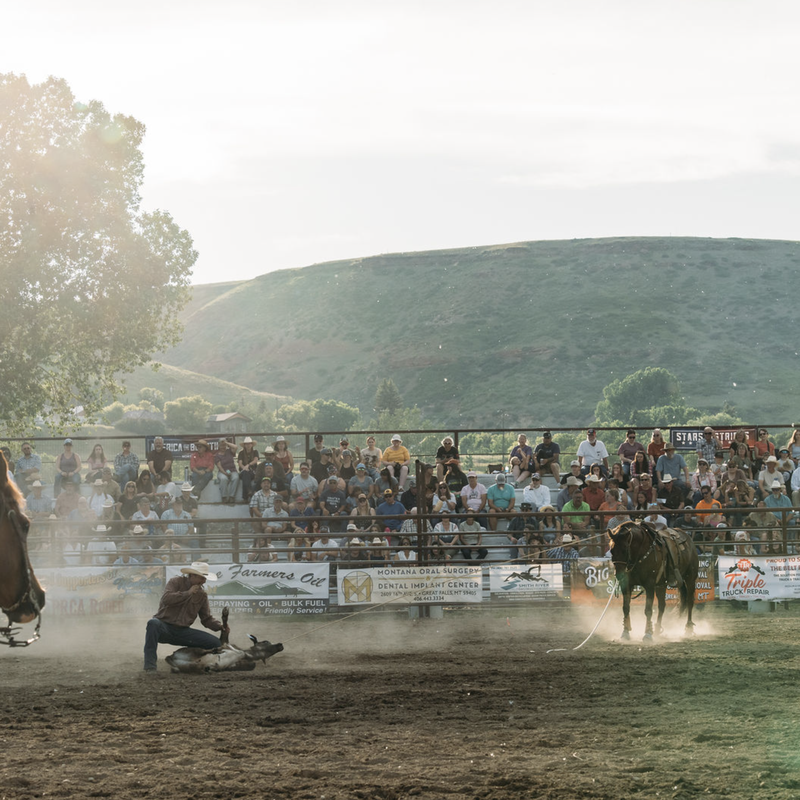 Horse and rider participate in a Montana rodeo arena as a crowd watches near the chutes and banners