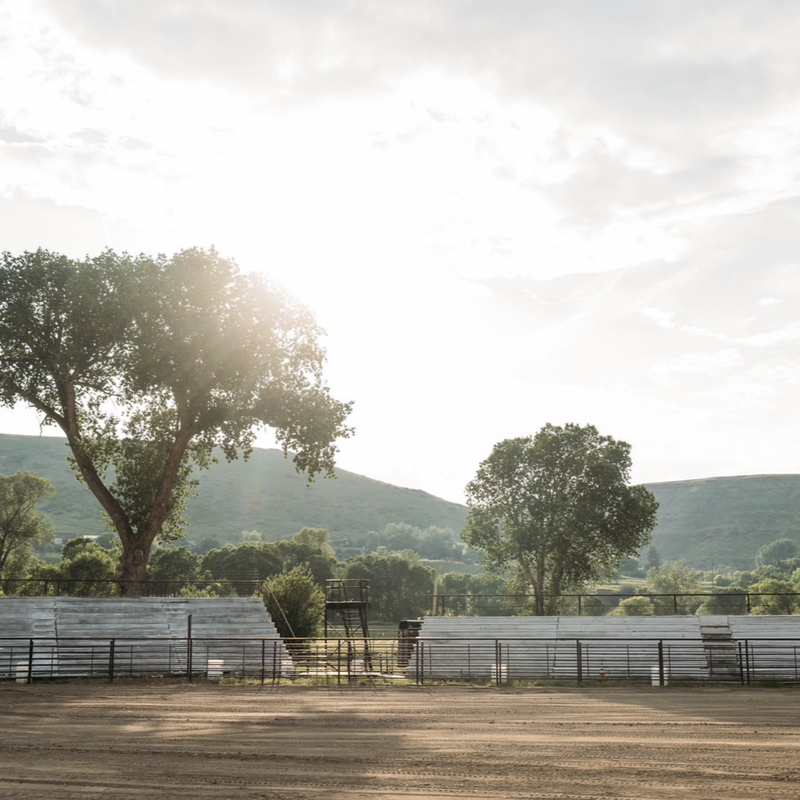 Sunlit pasture with fenced corrals and green hills in the background
