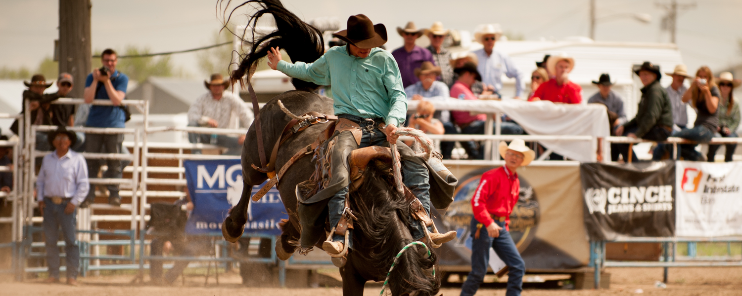 A rodeo rider in a turquoise shirt and cowboy hat rides a bucking horse in a dusty arena, with a crowd watching from behind the fence.