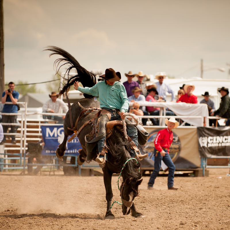 A rodeo rider in a turquoise shirt and cowboy hat rides a bucking horse in a dusty arena, with a crowd watching from behind the fence.