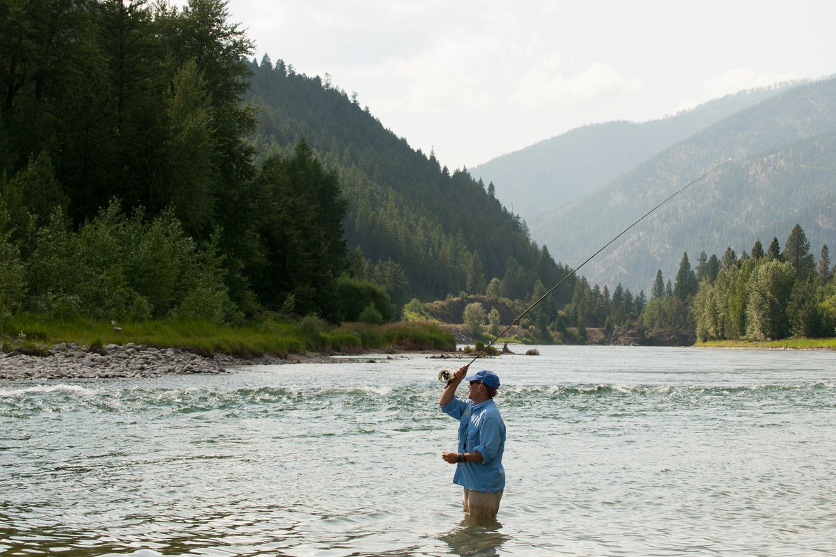 Angler wading in a Montana river, casting a fishing line along a forested valley with mountains in the background