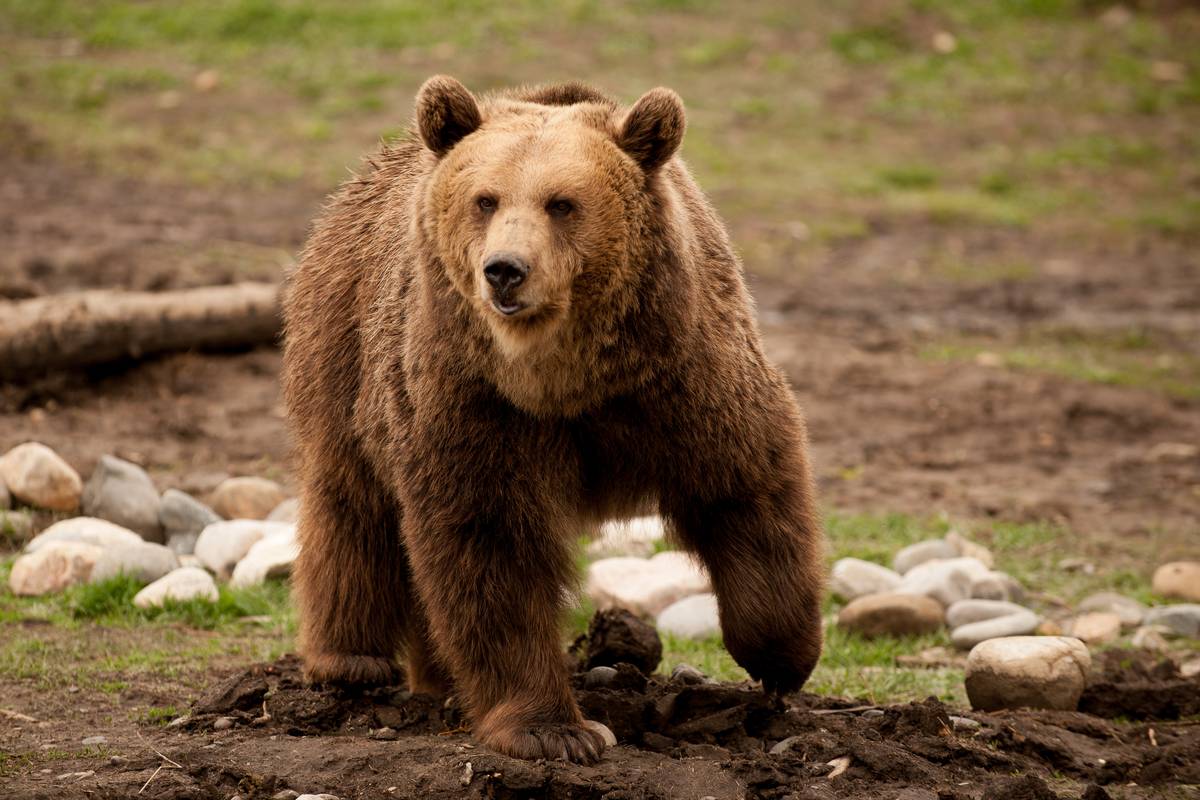 Winter Wonderland Family Fun