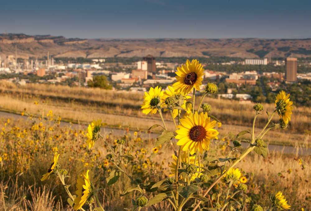 Montana's Trailhead
