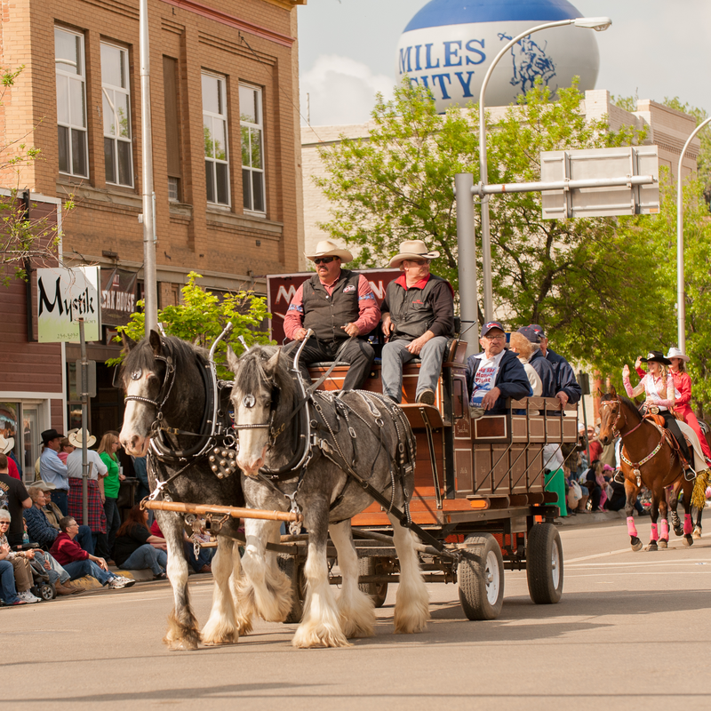 Horse-drawn carriage with riders in cowboy hats passing by a crowd during a parade in a small town.