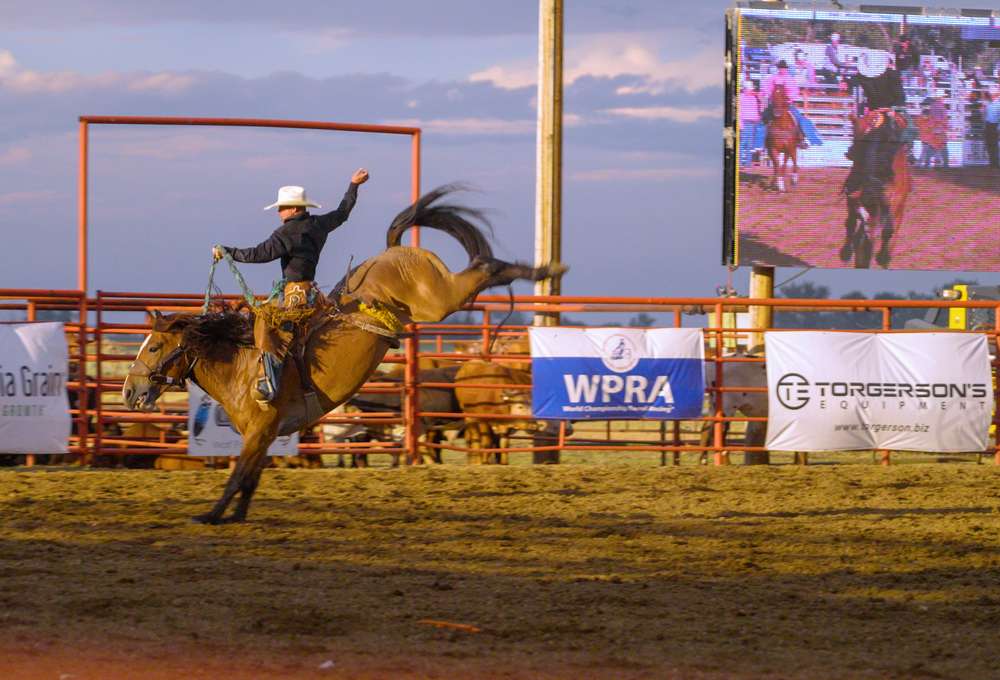 Wolf Point Wild Horse Stampede