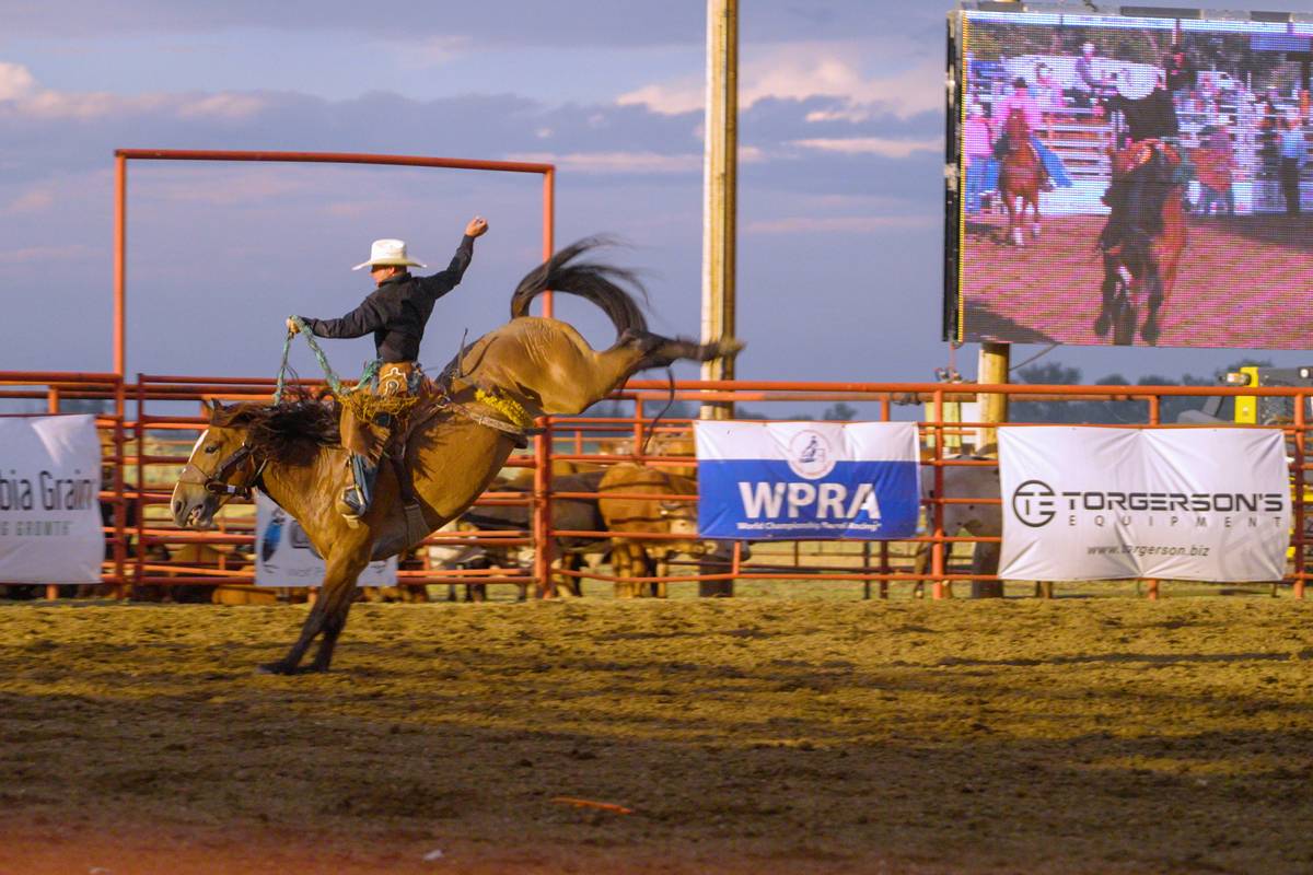 Wolf Point Wild Horse Stampede