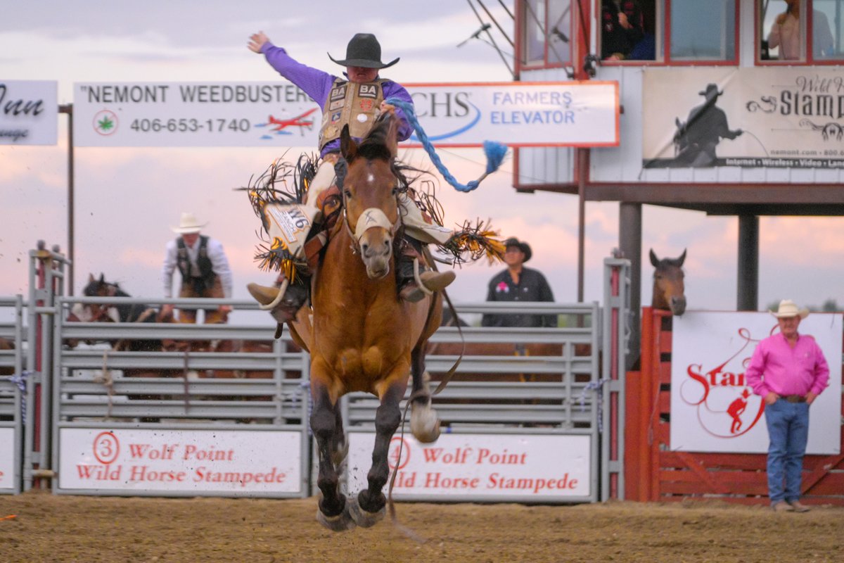 Rodeo rider on a bucking horse at an arena with spectators and signboards in the background