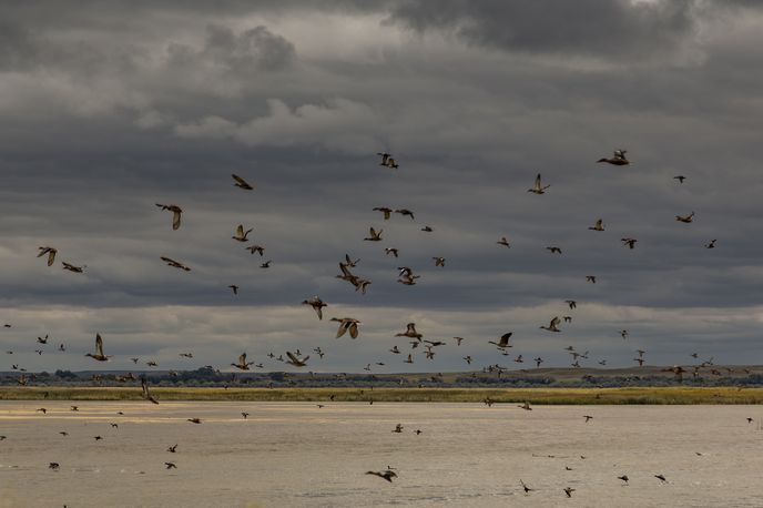 War Horse National Wildlife Refuge