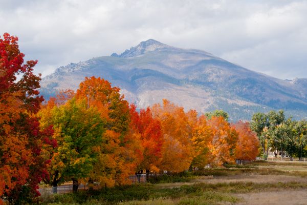 Conner, Montana
