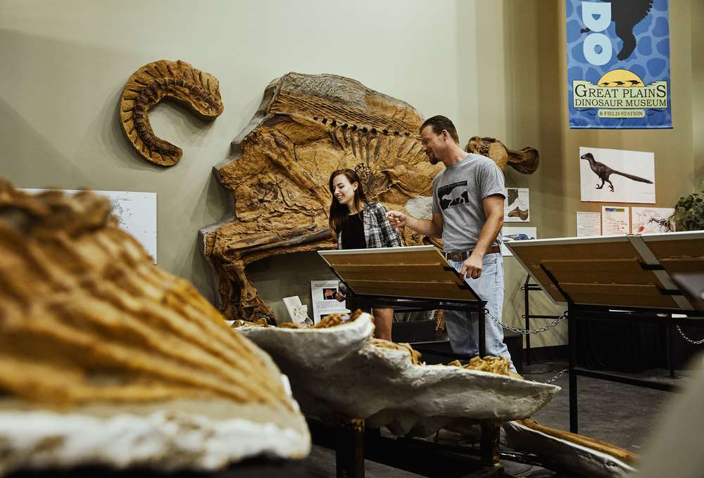 Immersive Dinosaur Experiences
