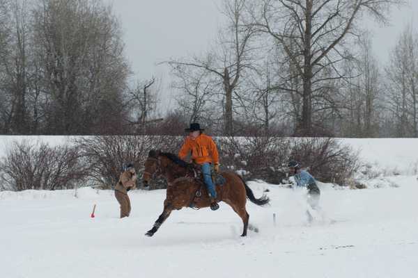 Rodeo Doesn’t Stop in the Snow: Meet Skijoring