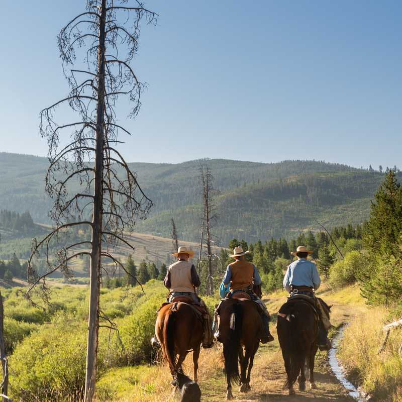 People horseback riding along a dirt trail through Montana’s hills and forested valley