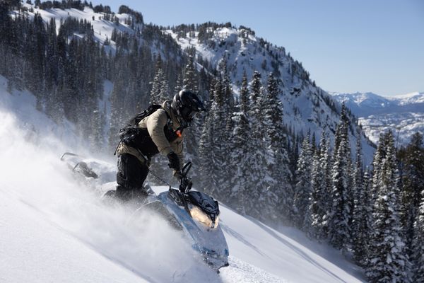 Snowboarder carving through fresh powder on a Montana ski slope with pine-covered mountains in the background