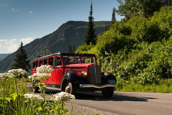 Go Gaga for Glacier National Park