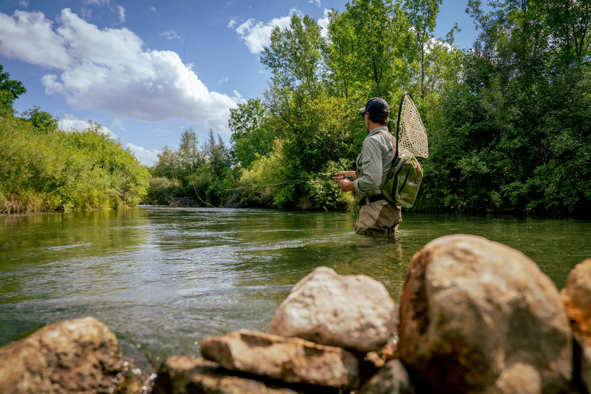 Person fishing along a river in a forested Montana landscape