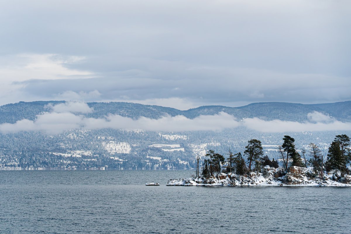 Winter lakeshore view with snow-covered trees and distant hills wrapped in low clouds over a calm lake in Montana