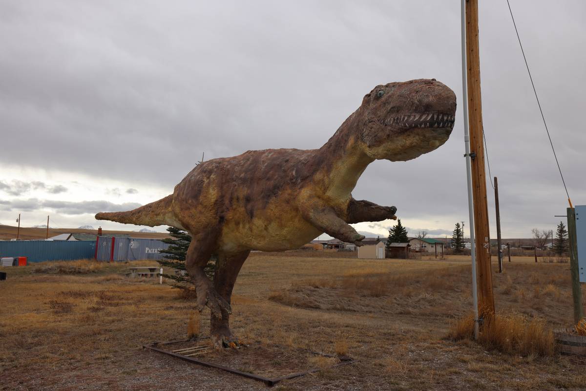 Bynum to Great Falls