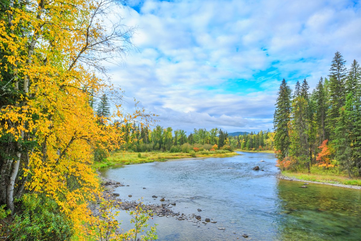 Calm river in Montana with autumn trees lining the banks under a partly cloudy sky