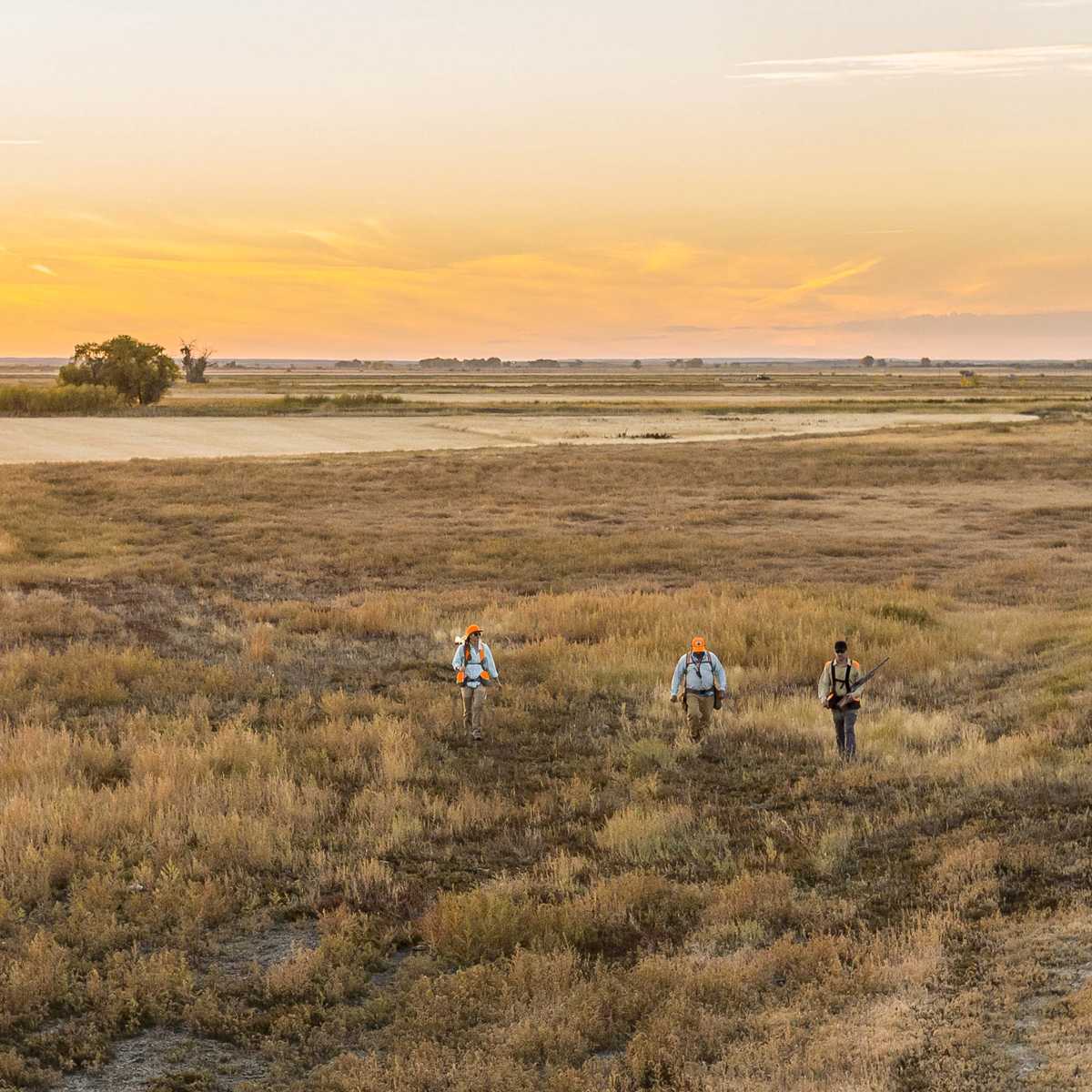 People walking on a prairie trail at sunset near a road and distant hills in Montana