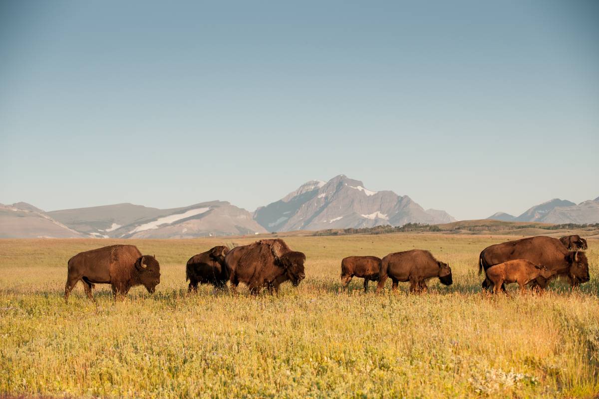Tribal Recreation Permits: Everything You Need to Know