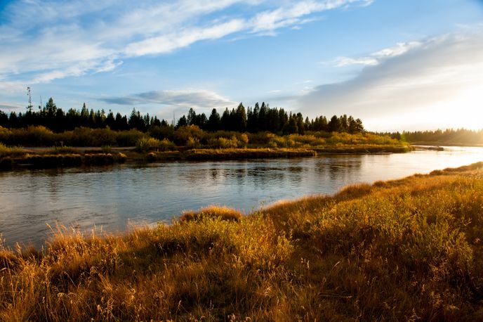 Yellowstone River Picnic Area Trail
