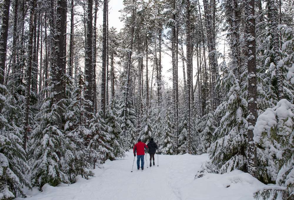 Laid-back Winter Adventures in Glacier National Park