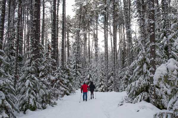 Laid-back Winter Adventures in Glacier National Park