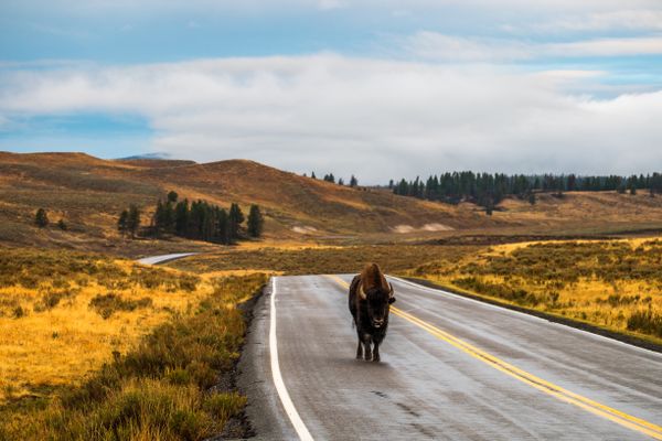 Nye, Montana