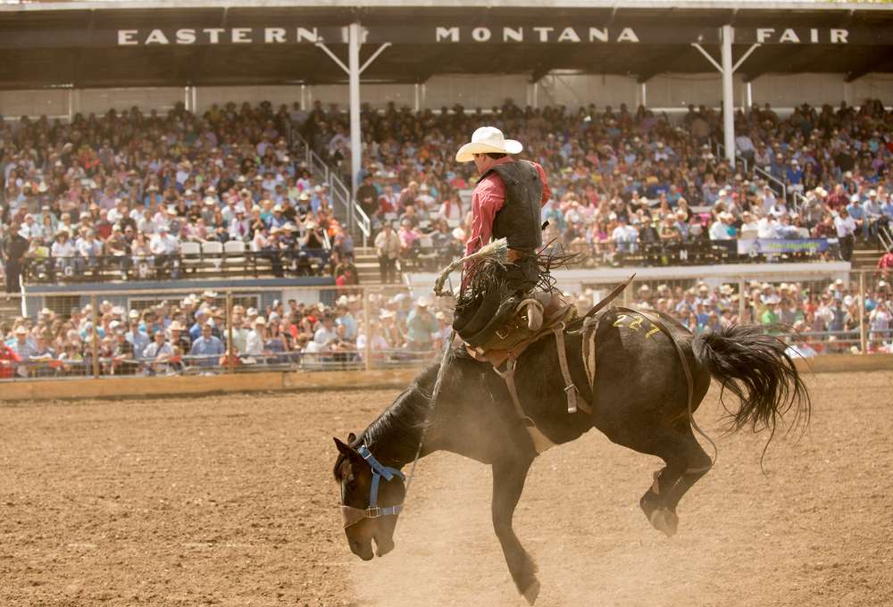 Fun For the Family: Montana State Fair