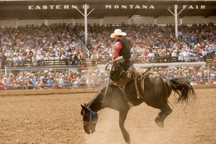 Rodeo cowboy riding a horse at the Eastern Montana Fair in an outdoor arena