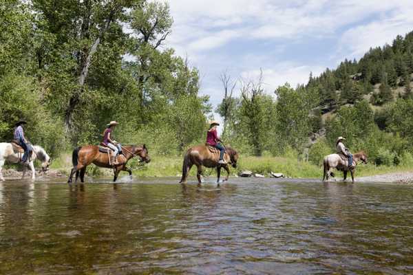 Roaming The National Forests