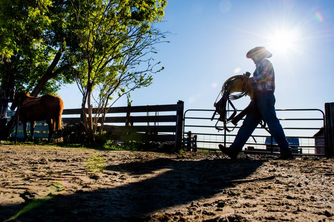 Person leading a horse along a fenced riding area at a Montana ranch in sunny weather