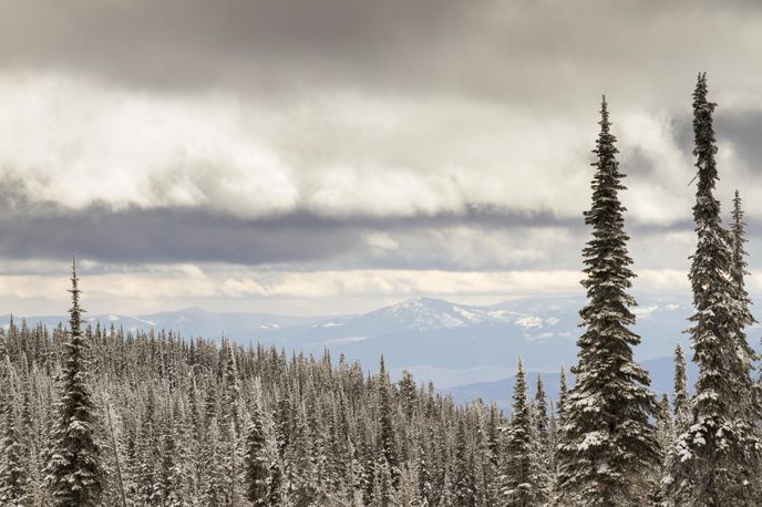 Blacktail Mountain Ski Area