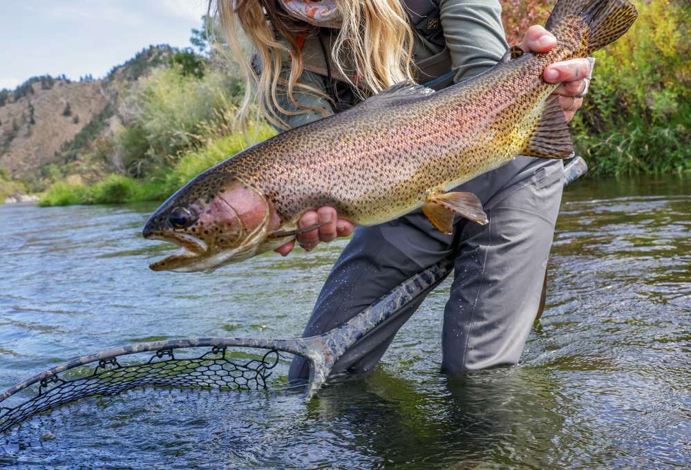 Reel in Relaxation: A Small-Town Montana Fly-Fishing Itinerary