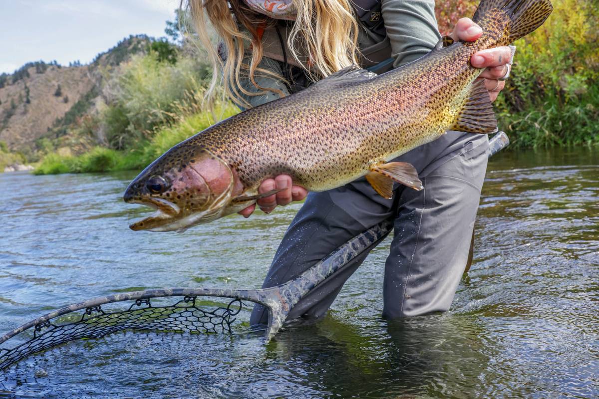 Reel in Relaxation: A Small-Town Montana Fly-Fishing Itinerary