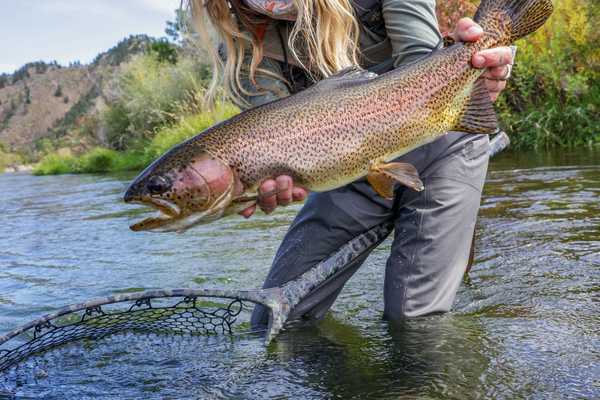 Reel in Relaxation: A Small-Town Montana Fly-Fishing Itinerary