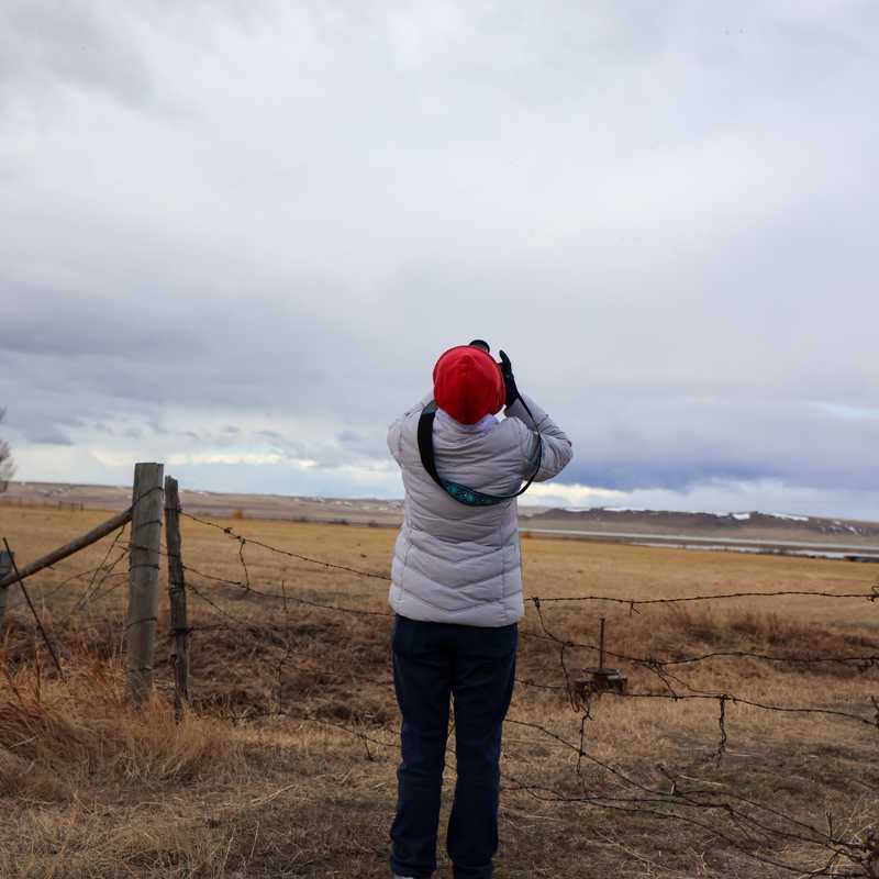 Person in a red cap looking up at a flock of birds flying overhead over Montana fields