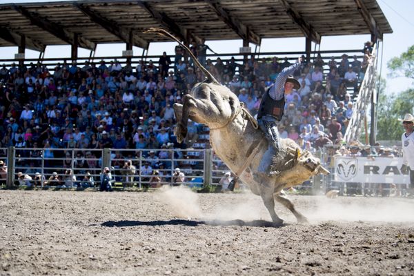 Roy, Montana