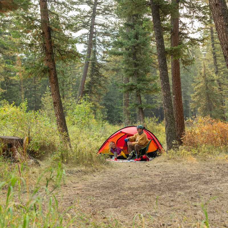 Family camping near a red tent in a Montana forest with tall pine trees