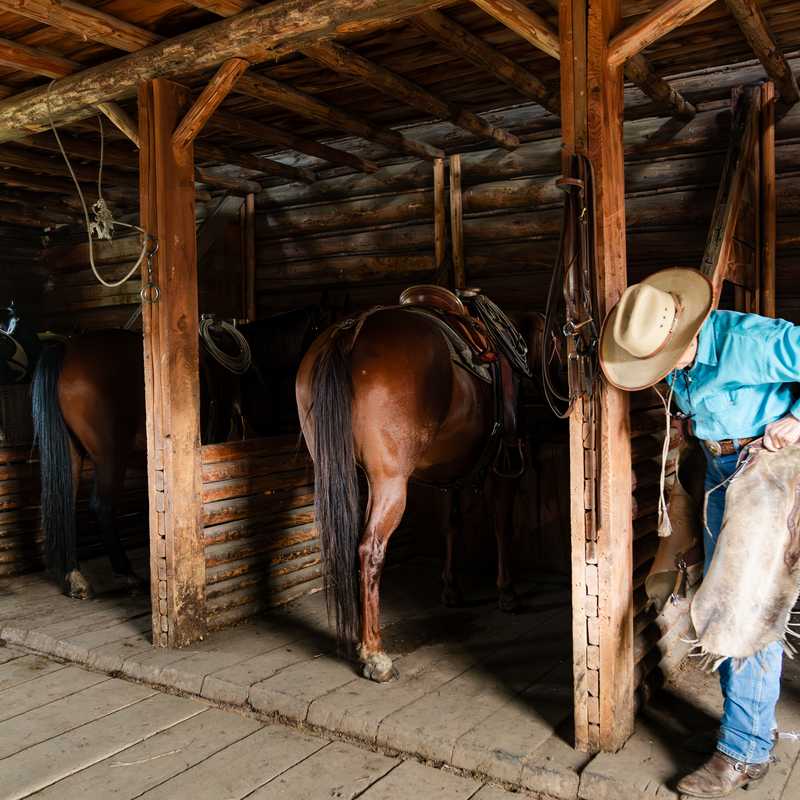 Horse stalls inside a rustic barn with saddles and tack hanging on the walls