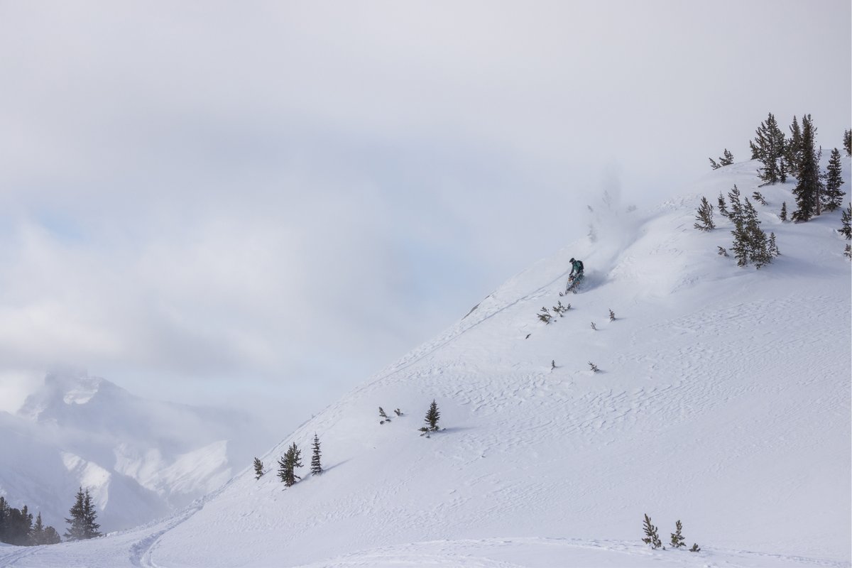 Snow-covered ski slope with scattered skiers descending and pine trees along the mountain in Montana