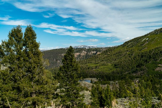 Purple Mountain Trail