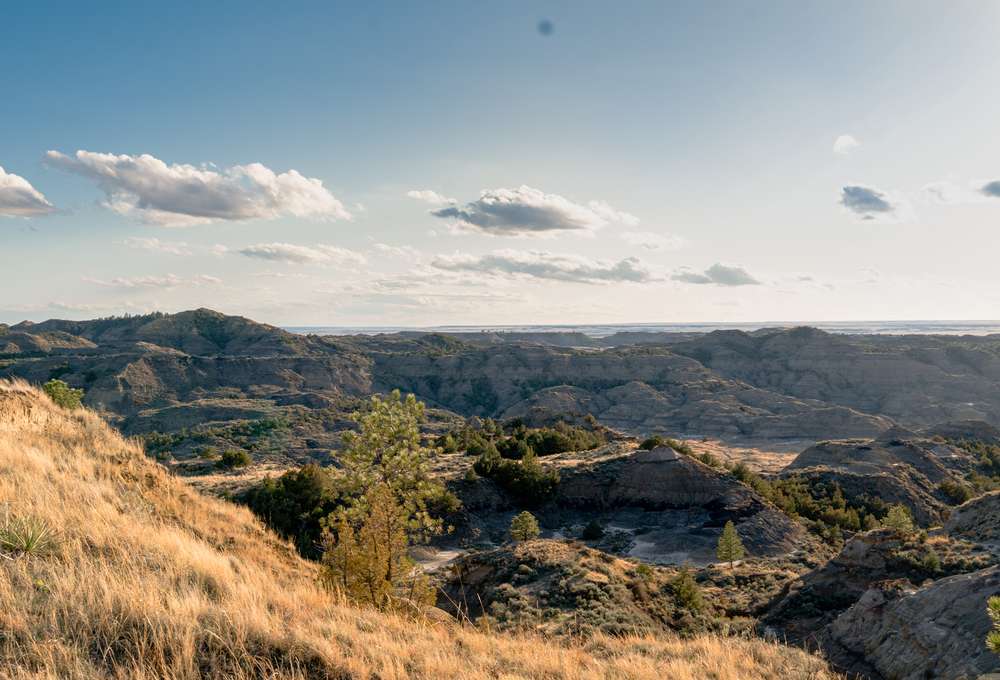20 Ways to Enjoy the Montana Dinosaur Trail