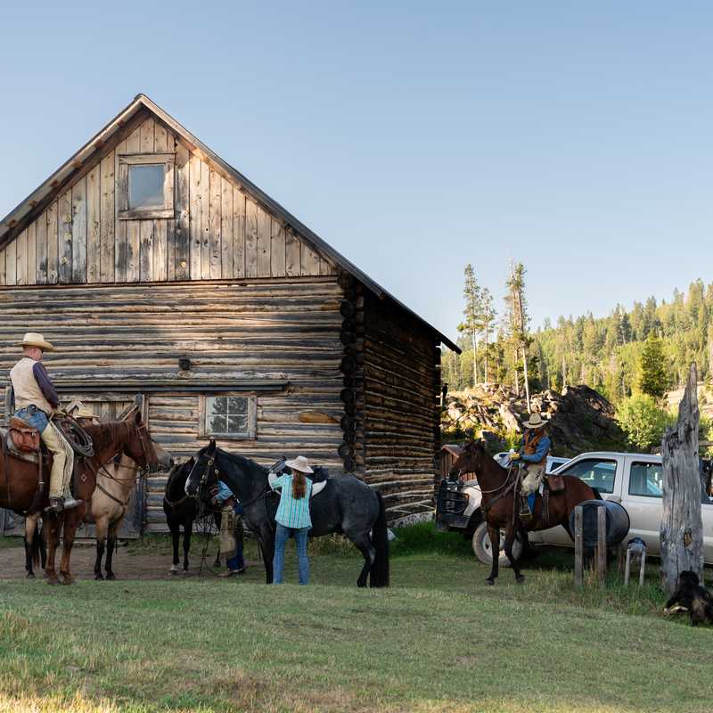 Ranch horses standing outside a wooden barn with people and vehicles nearby in a mountain valley in Montana