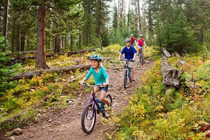 Cyclists riding a dirt trail through a Montana forest