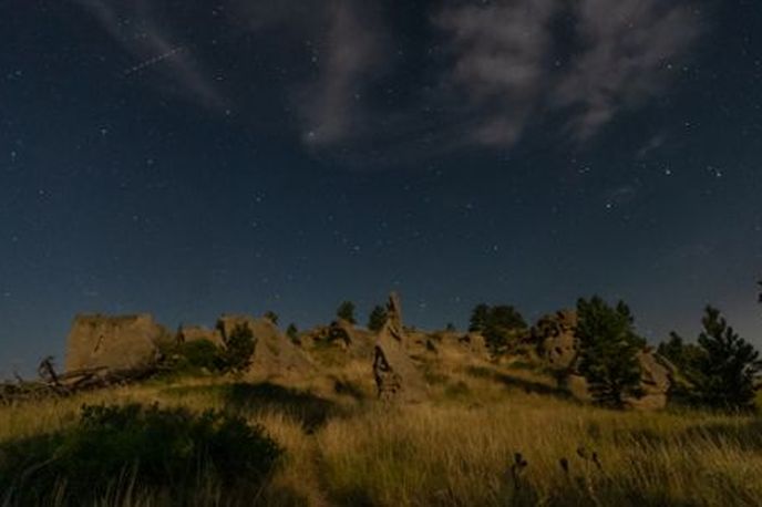Night sky over rolling grasslands and a line of trees in Montana