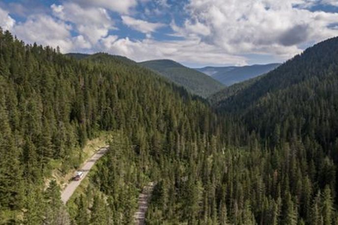 Scenic mountain valley road winding through dense evergreen forests in Montana